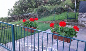 Vanni's House